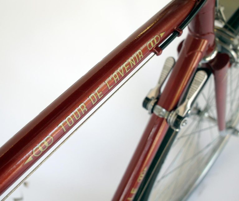 Gazelle Bicycle Serial Number